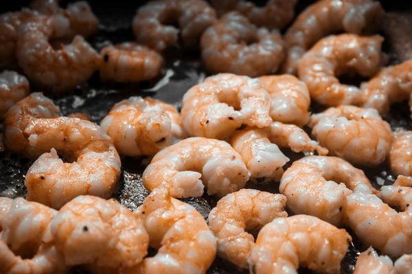 Quels sont les meilleurs conseils pour cuisiner des fruits de mer frais et savoureux?