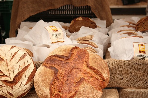 Quels critères pour sélectionner une machine à pain avec programme pour pain sans gluten pour des pains adaptés?